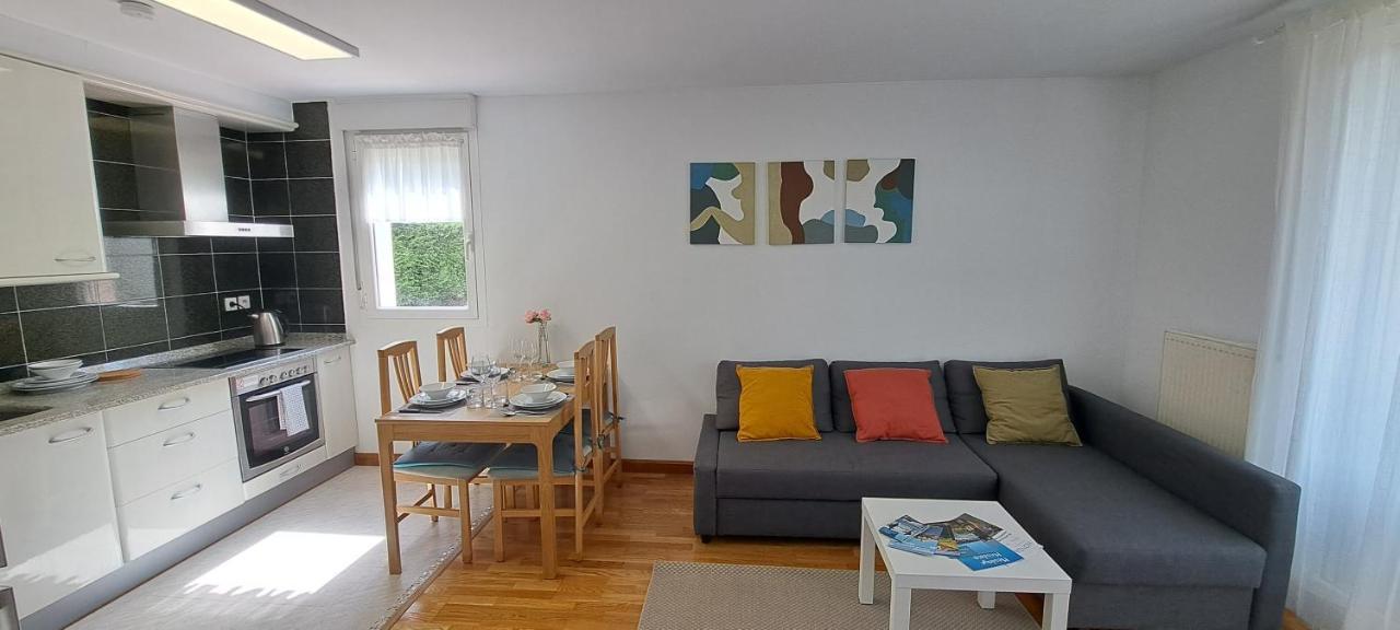 Appartement Lumineux T3 Avec Jardin Privatif A Hendaye - Parking Et Wif Gratuit Exterior foto